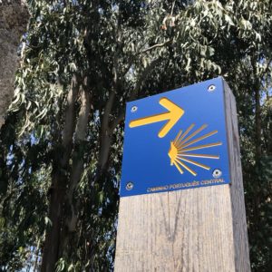 カミーノ「ポルトガル人の道」の黄色い矢印