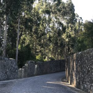 カミーノ「ポルトガル人の道」、Vairaoの修道院を出て、森を進む